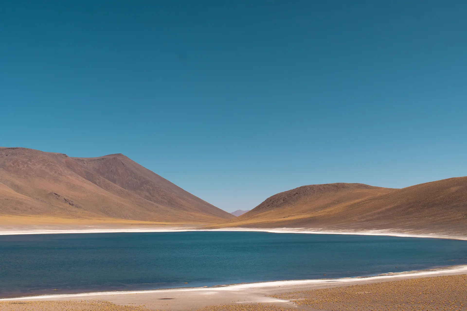 Laguna Miscanti at four thousand metres below the Miscanti and Minques cones