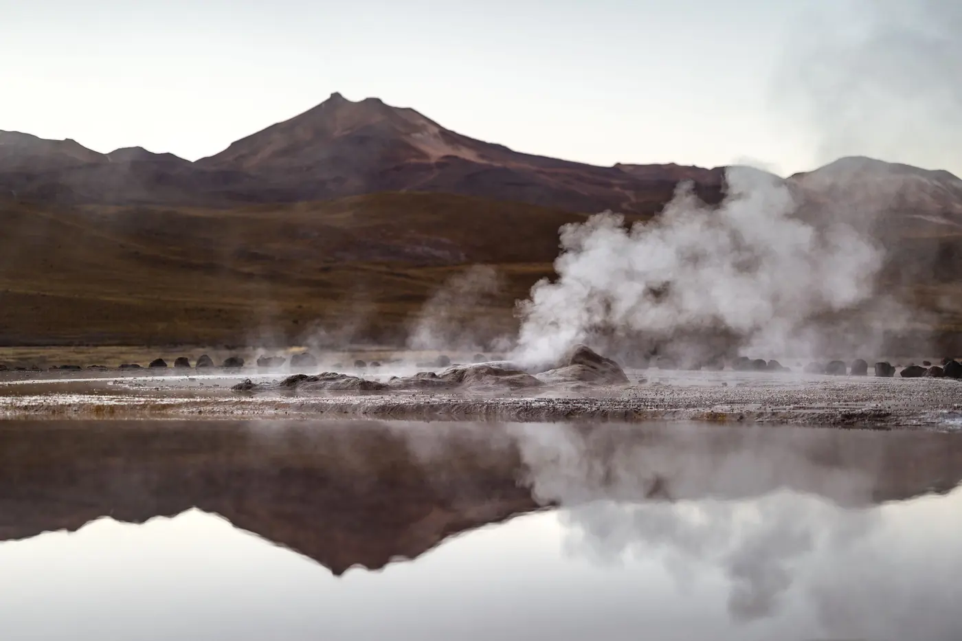 Steam columns rising at the El Tatio geyser field before sunrise