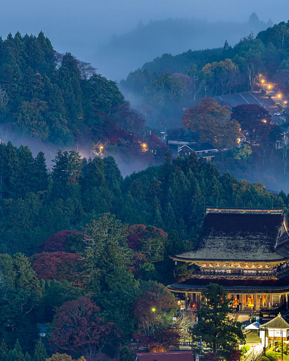 Ridges of cedar forest with mist in the valleys, red maples and a large temple hall in blue first light