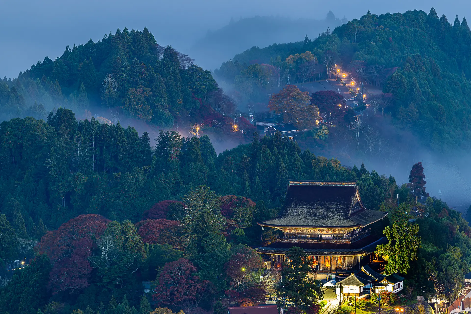 Ridges of cedar forest with mist in the valleys, red maples and a large temple hall in blue first light