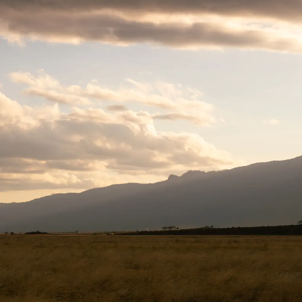 Dry gold grass below a long dark mountain massif filling the horizon under warm broken cloud at last light