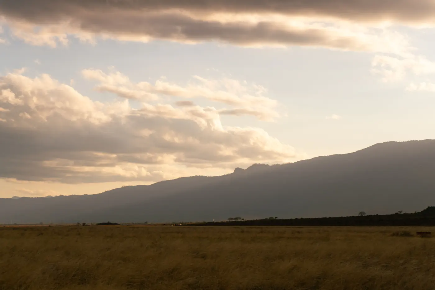 Dry gold grass below a long dark mountain massif filling the horizon under warm broken cloud at last light