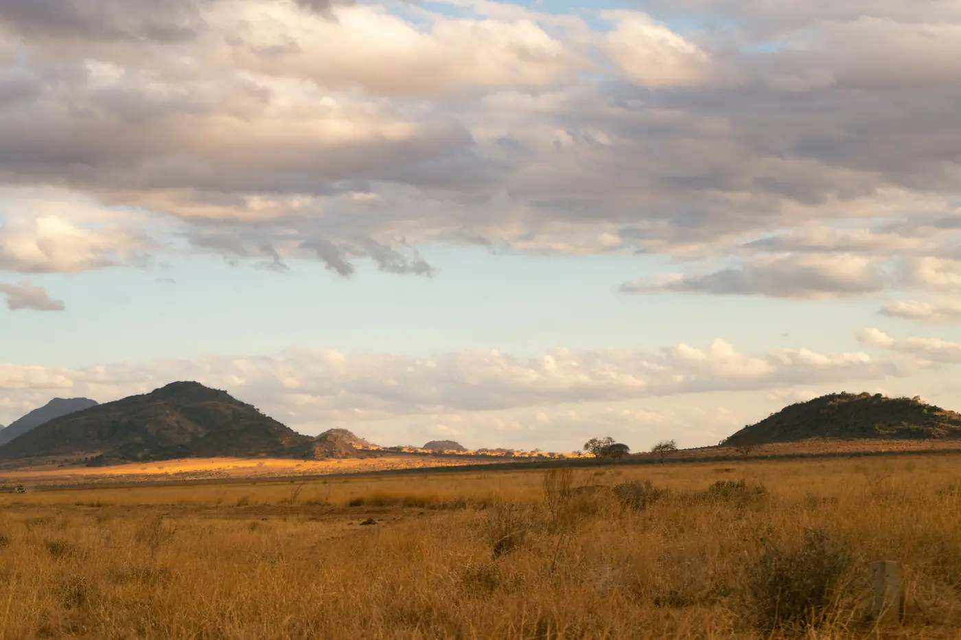 Bleached gold grass and low thorn scrub between two dark rocky hills under a tall cumulus sky at dusk