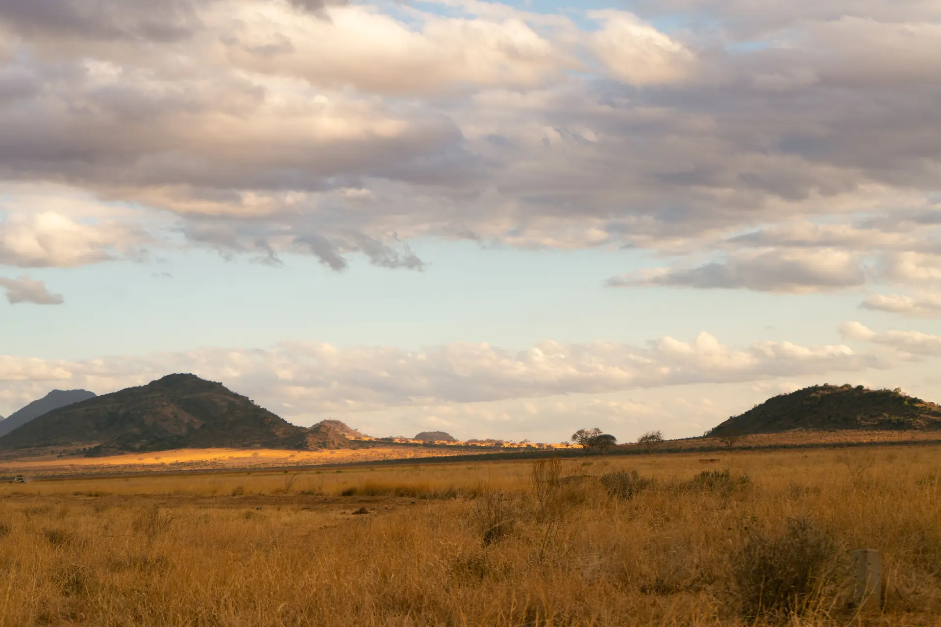 Bleached gold grass and low thorn scrub between two dark rocky hills under a tall cumulus sky at dusk