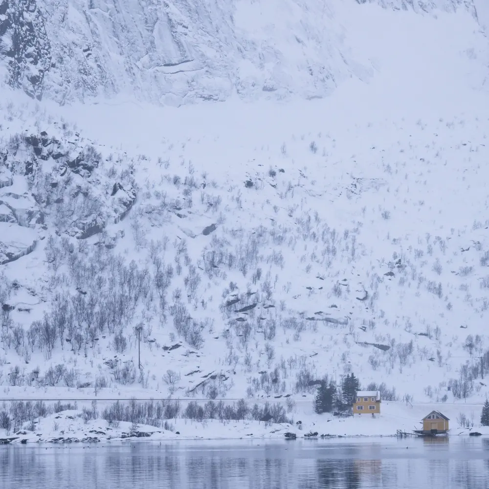 The village of Reine below snow-covered granite walls in Lofoten at blue hour