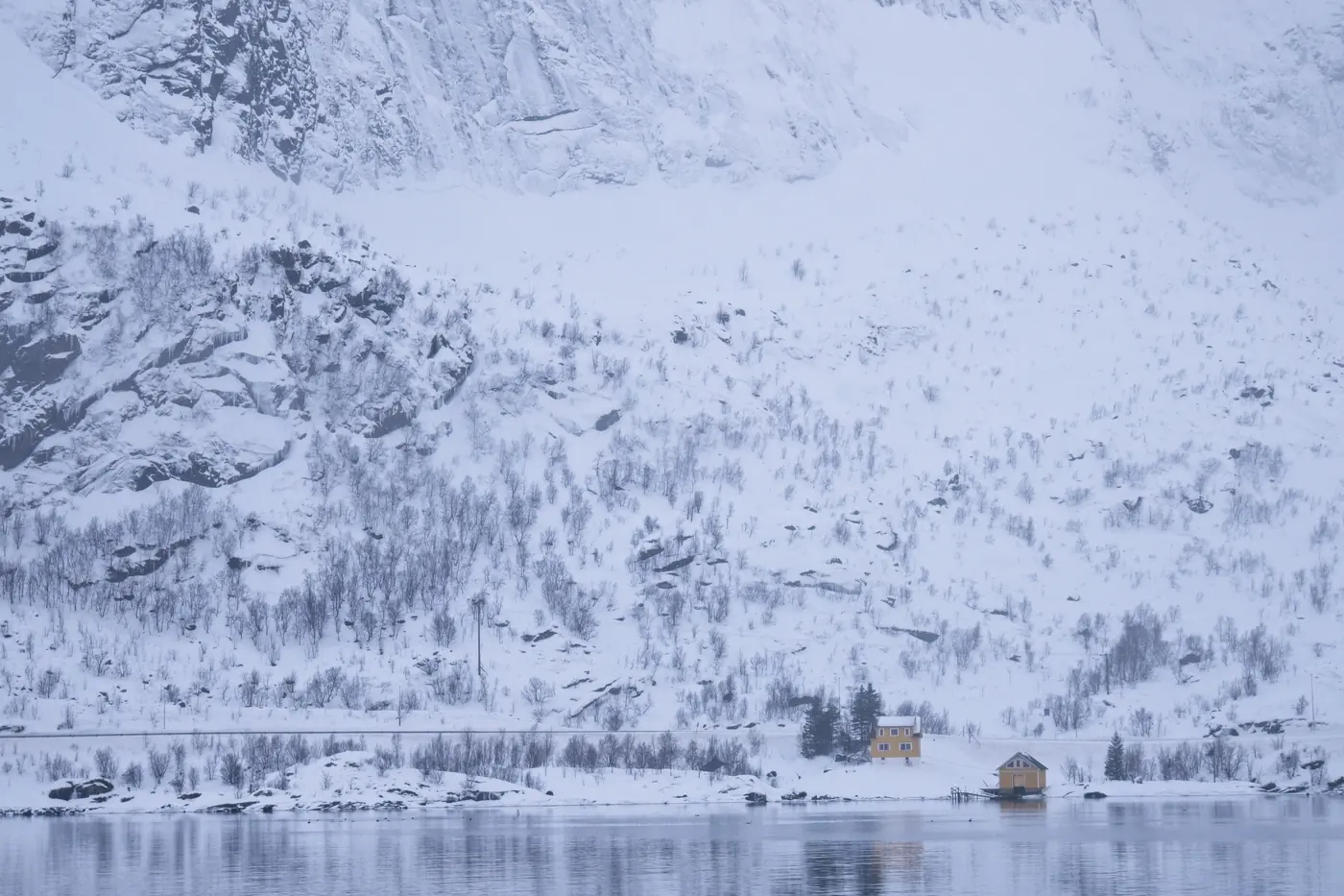 The village of Reine below snow-covered granite walls in Lofoten at blue hour