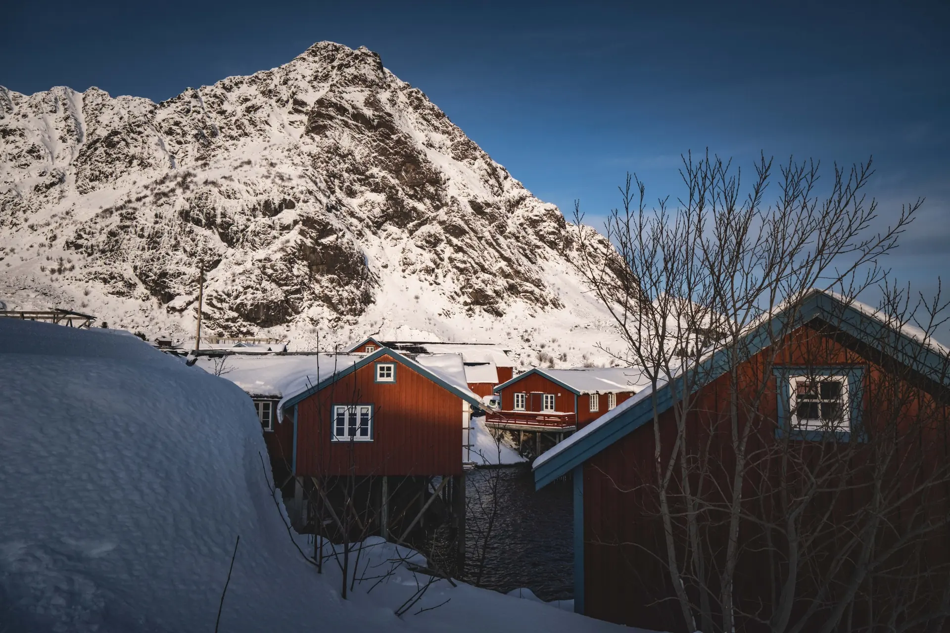 Red fishermen's cabins on the quay at Ballstad in Lofoten during the winter blue hour