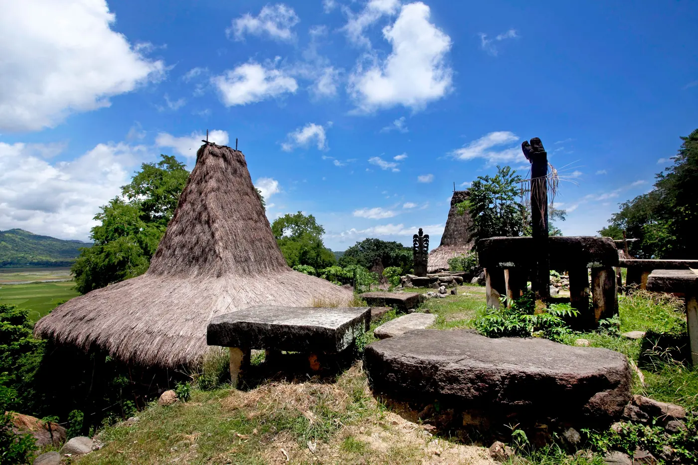 Peaked thatch clan houses and megalithic stone tombs in a Sumbanese village