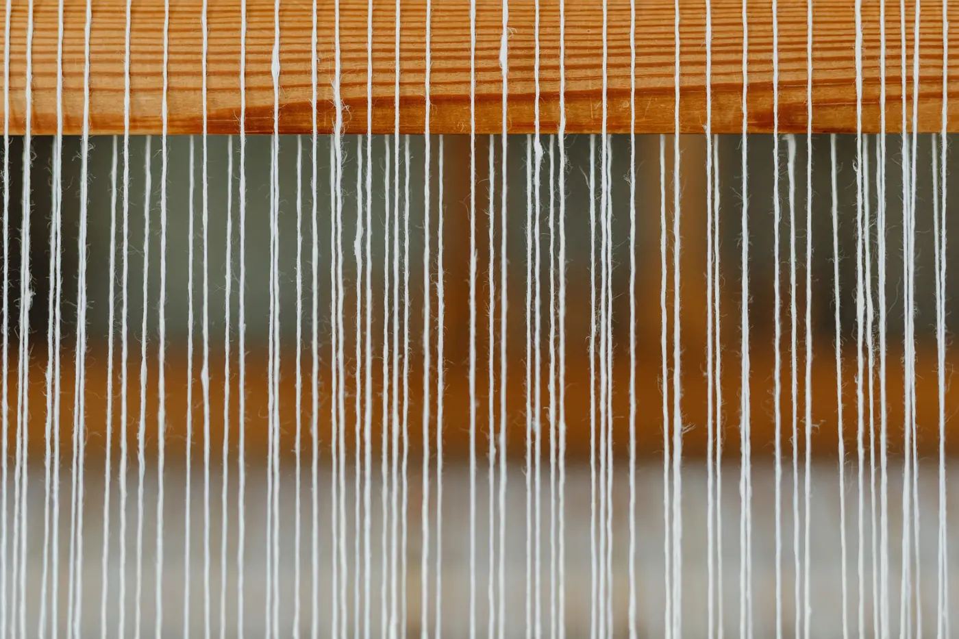 Fine white warp threads running over the planed timber beam of a dressed wooden loom, shadow behind