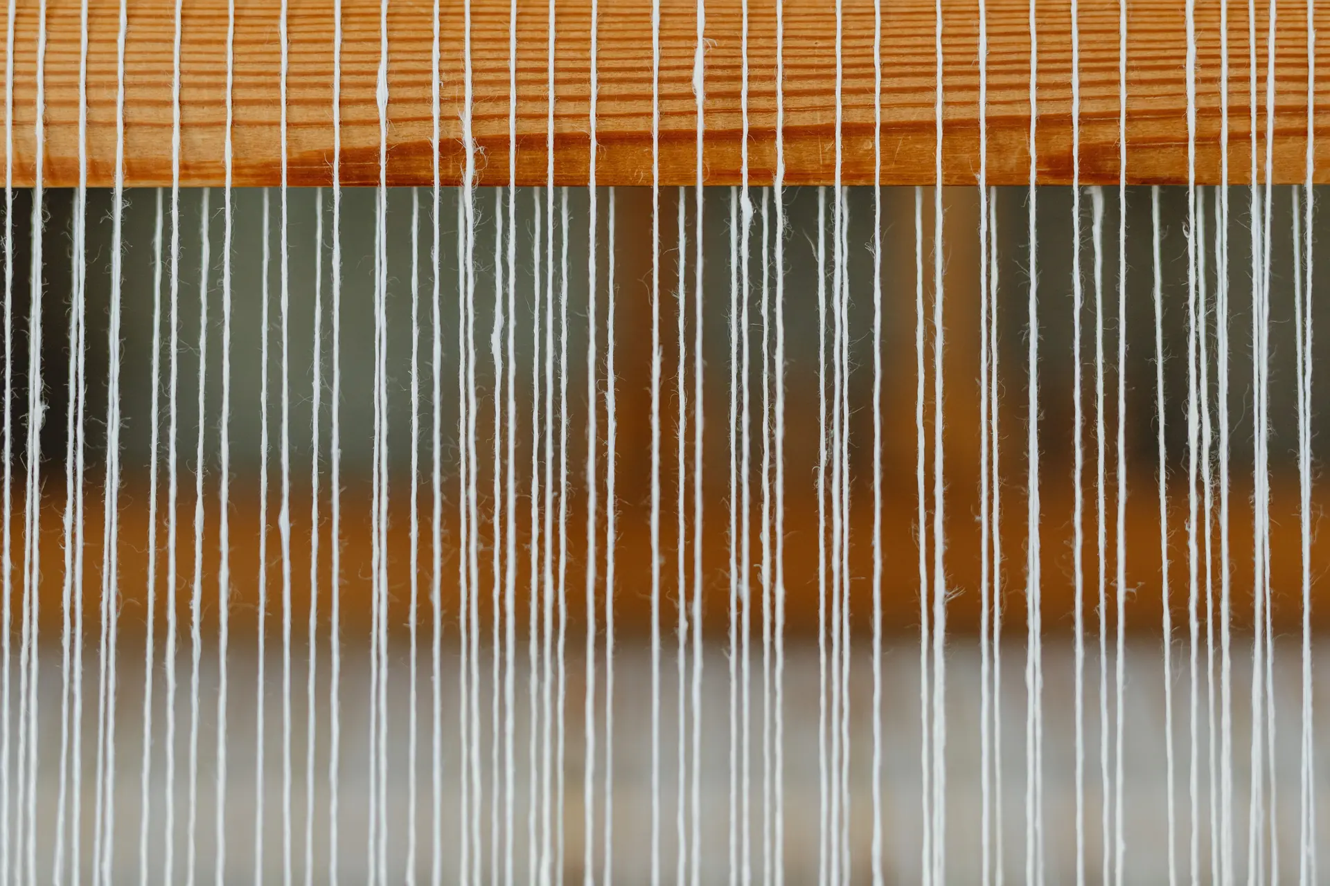 Fine white warp threads running over the planed timber beam of a dressed wooden loom, shadow behind