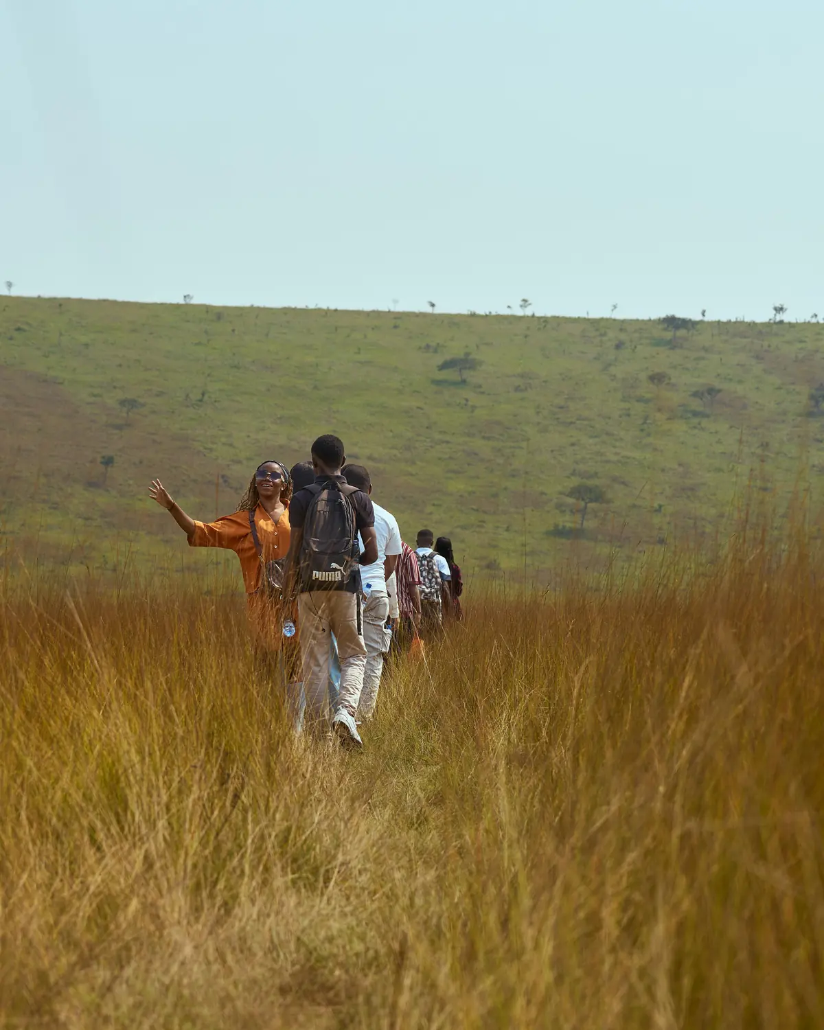 A small group walking single file through tall gold tussock grass, the leader stopped with one arm pointing ahead