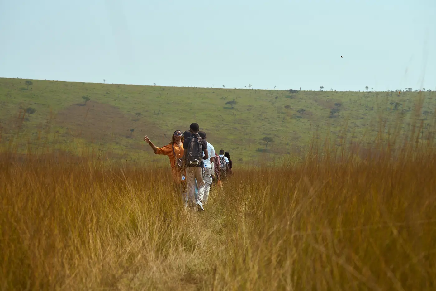 A small group walking single file through tall gold tussock grass, the leader stopped with one arm pointing ahead