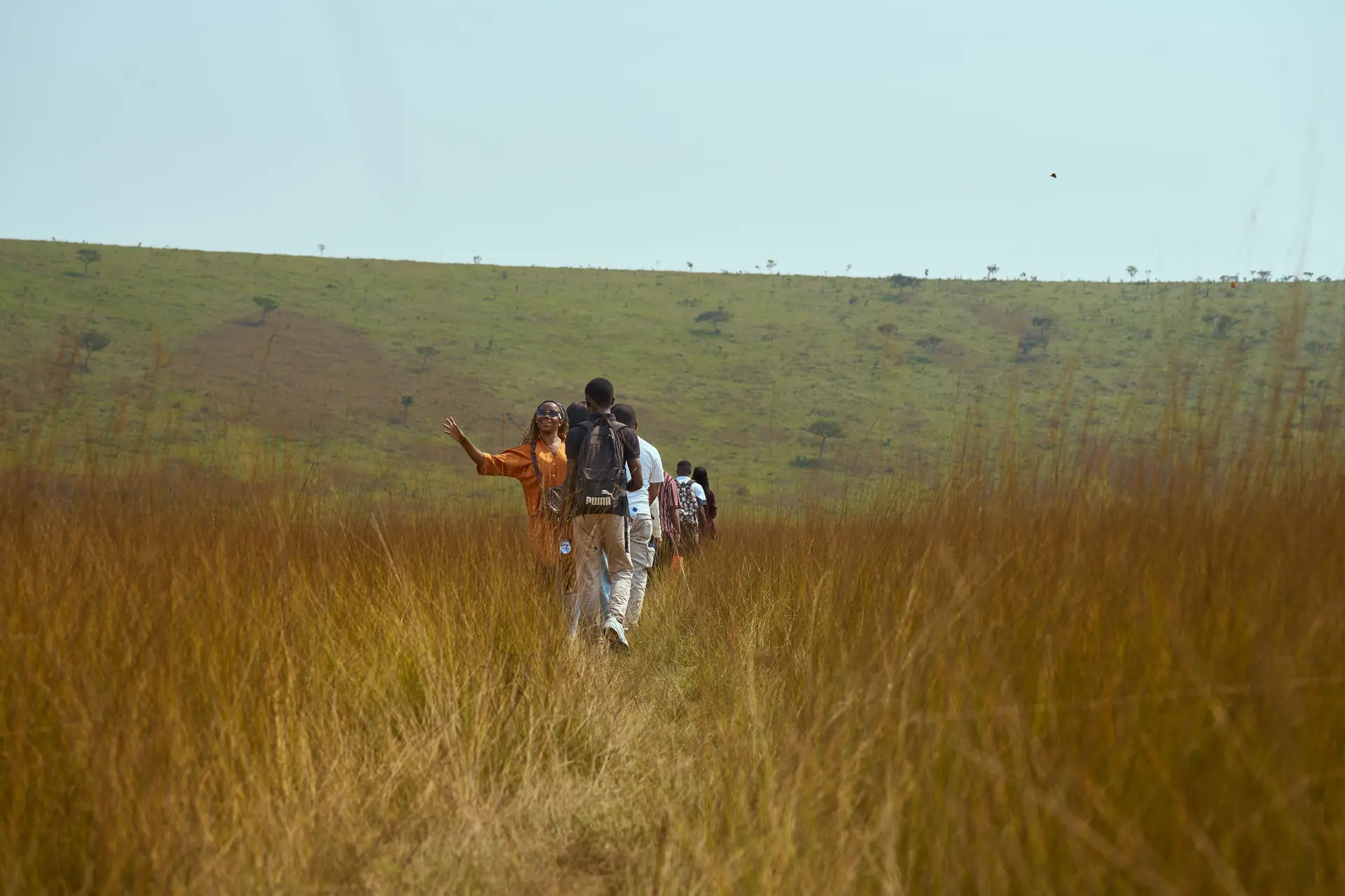 A small group walking single file through tall gold tussock grass, the leader stopped with one arm pointing ahead