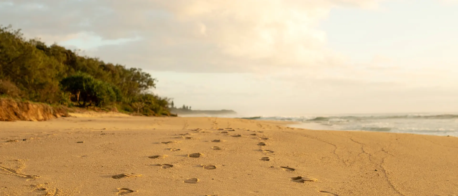 A single line of footprints running away up empty gold sand between low coastal scrub and surf at first light