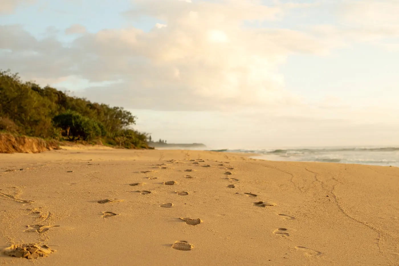 A single line of footprints running away up empty gold sand between low coastal scrub and surf at first light
