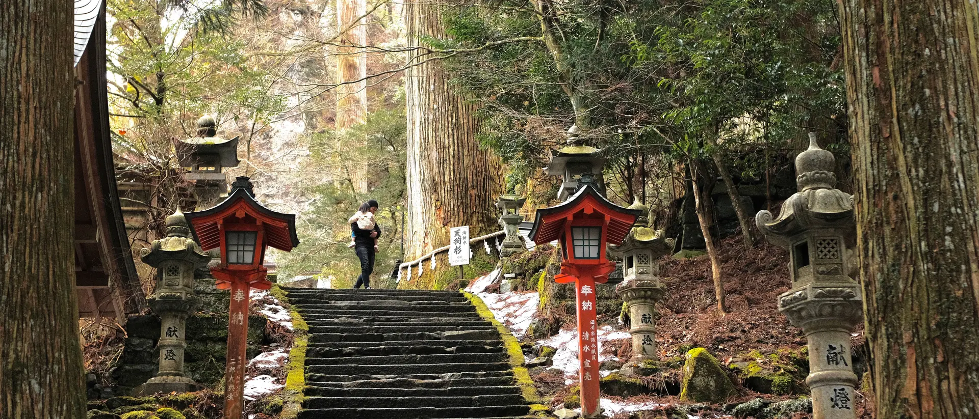 A walker carrying a child climbs a mossy stone stairway between huge cedars past stone and vermilion lanterns