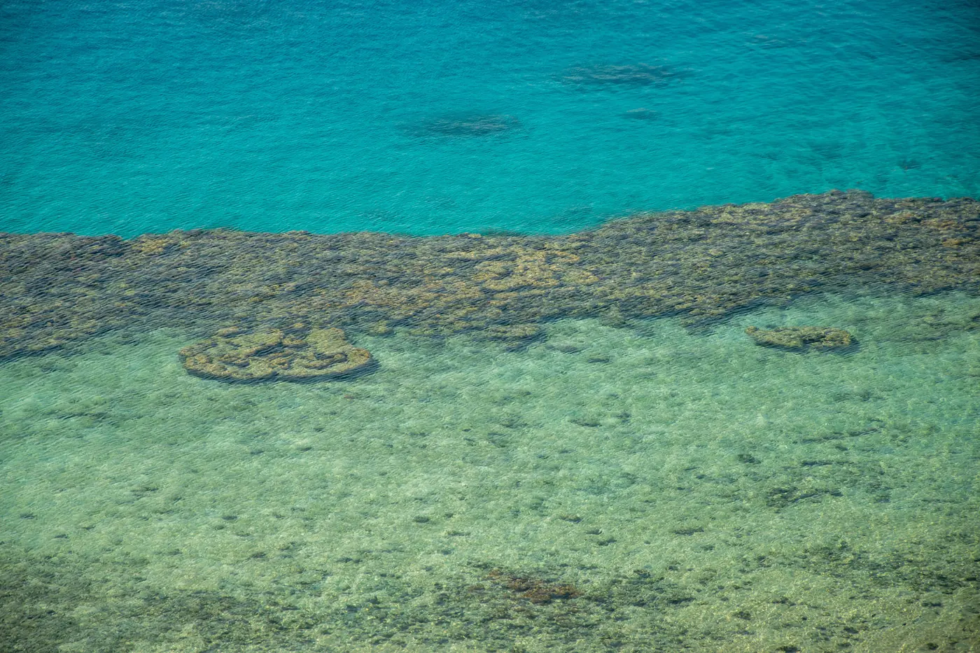 A reef seen from above, pale green shallows giving way to an olive crest and deep turquoise water