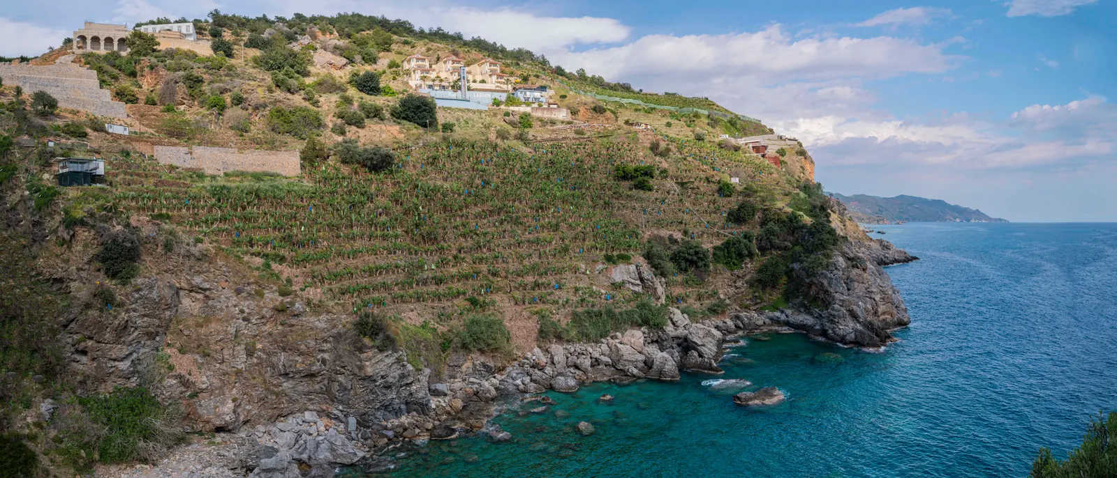 Drystone-terraced fruit trees stepping down a dry rock headland to a turquoise cove and a short shingle beach